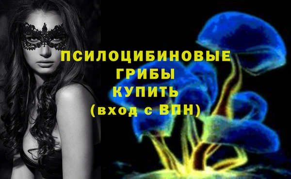 дмт Армянск