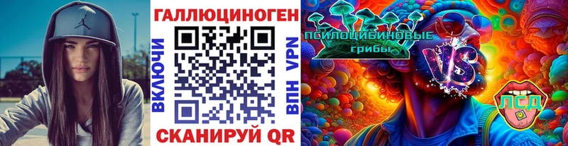 дарнет шоп  Стародуб  Галлюциногенные грибы Psilocybe 